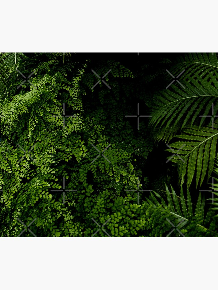 Imagen 2 de 2, Funda nórdica con la obra Tropical Jungle, diseñada y vendida por VanGalt.