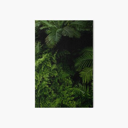 Tropical Jungle Art Board Print