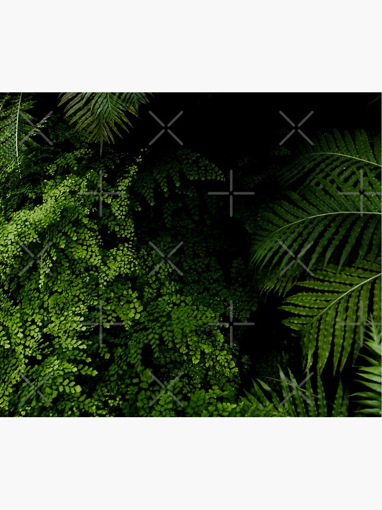 Tropical Jungle by VanGalt