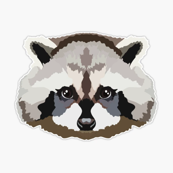 Raccoon' Sticker