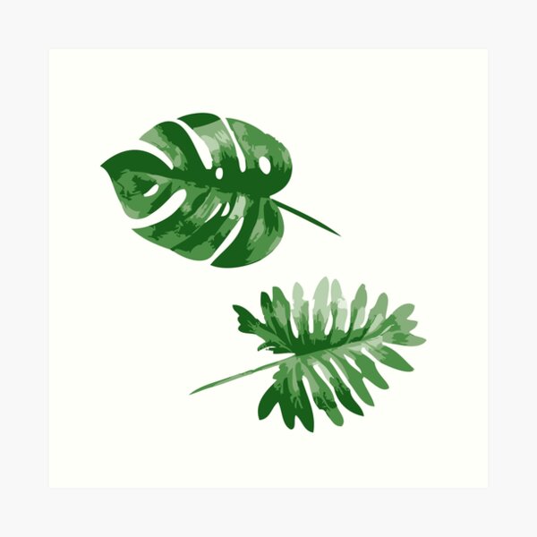 Monstera Art Print