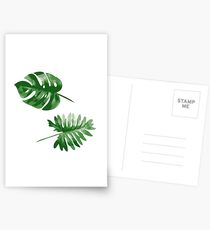 Monstera Postcards