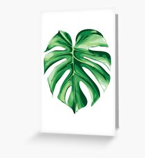 Monstera Greeting Card