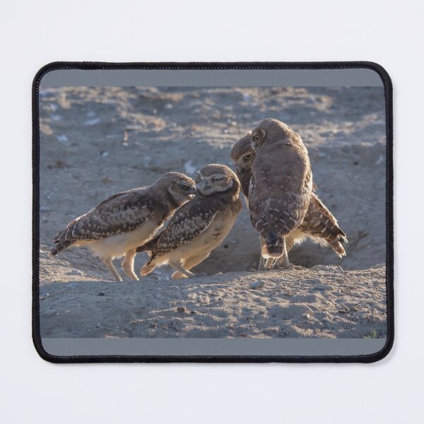 Item preview, Burrowing Owl Gossip  designed and sold by CarolM.