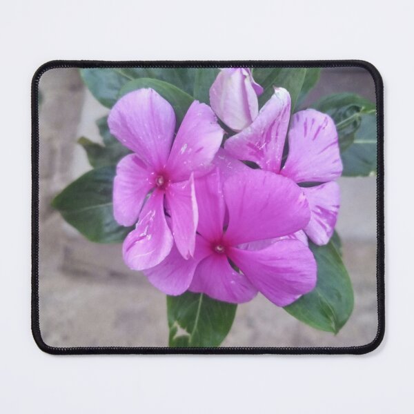 Item preview, Pink periwinkle flowers designed and sold by MusondaNancy.
