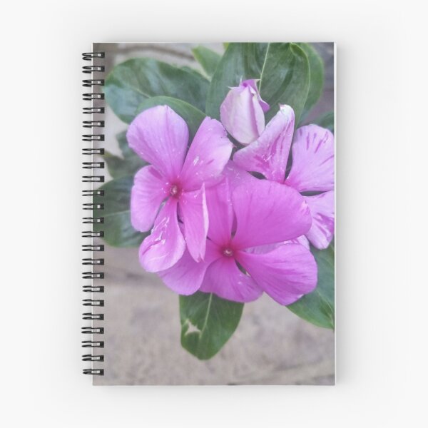 Item preview, Pink periwinkle flowers designed and sold by MusondaNancy.