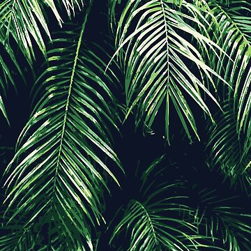 Artwork thumbnail, Tropical Palm Leaves by MyArt23