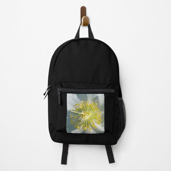 Item preview, White Hellebore Burst designed and sold by Photomersion.