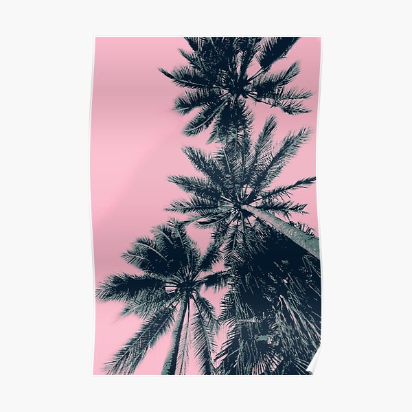 Tropical Palm Leaves Poster