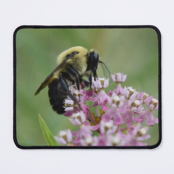 Item preview, Carpenter bee designed and sold by Tonia Delozier's Photography .