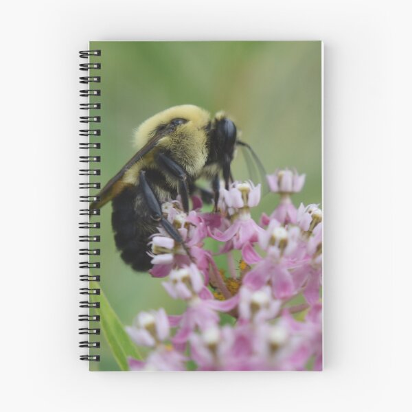 Item preview, Carpenter bee designed and sold by Tonia Delozier's Photography .