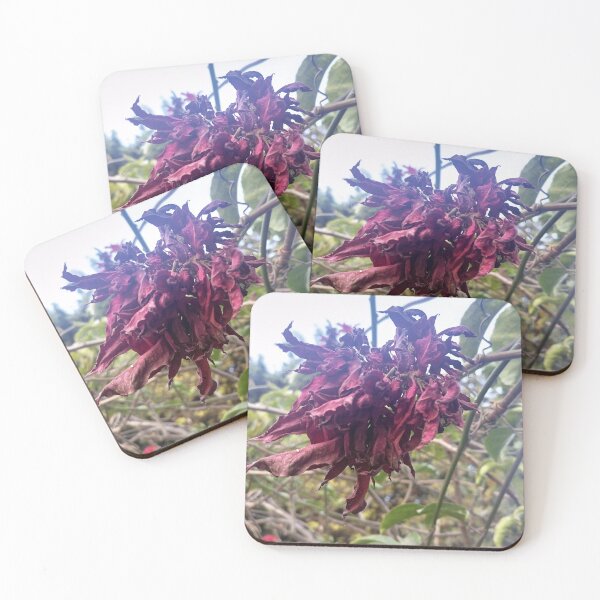 Item preview, Christmas flower designed and sold by MusondaNancy.