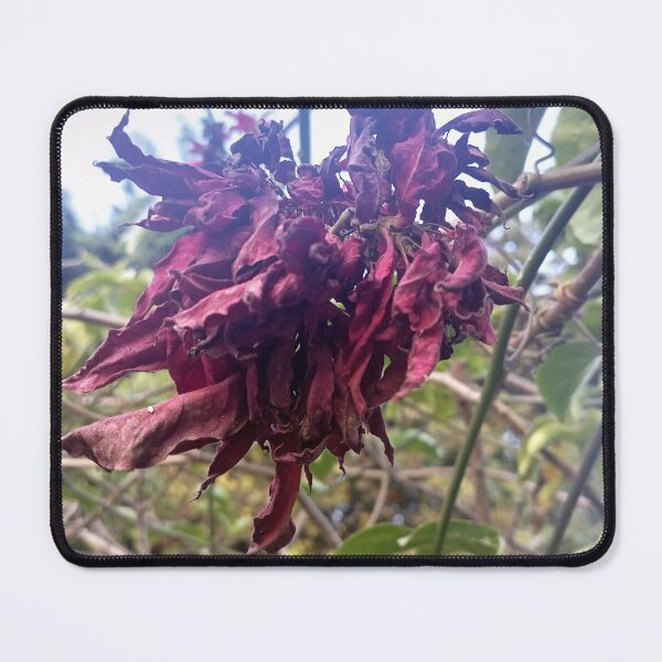 Item preview, Christmas flower designed and sold by MusondaNancy.