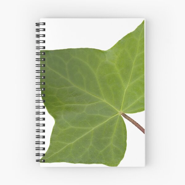 Item preview, Maple Leaf designed and sold by MyArt23.
