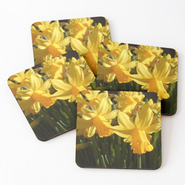 Item preview, Yellow daffodils designed and sold by Floral-Art.