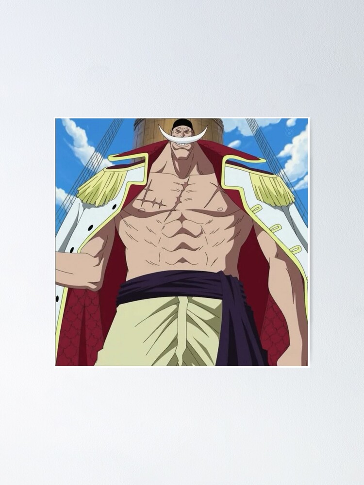 One Piece Characters Manga Poster – My Hot Posters