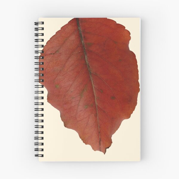 Item preview, Dried Leaves designed and sold by MyArt23.