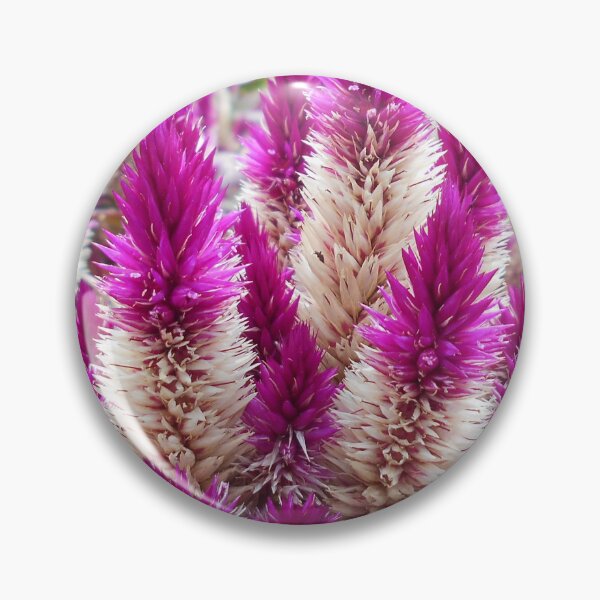 Item preview, Celosia Flowers designed and sold by Floral-Art.