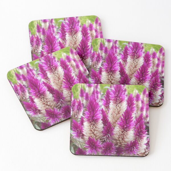 Item preview, Celosia Flowers designed and sold by Floral-Art.