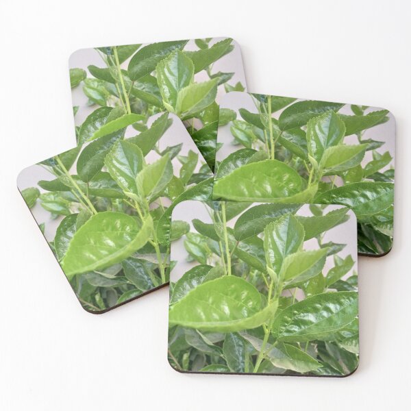 Item preview, Hibiscus leaves designed and sold by MusondaNancy.