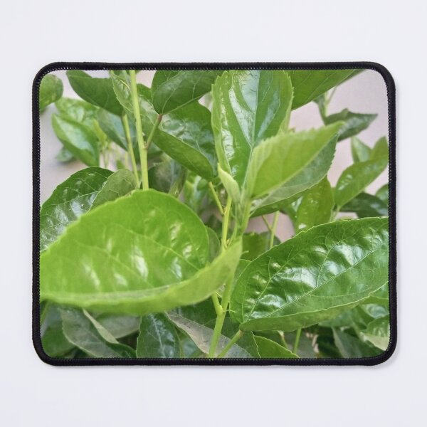 Item preview, Hibiscus leaves designed and sold by MusondaNancy.