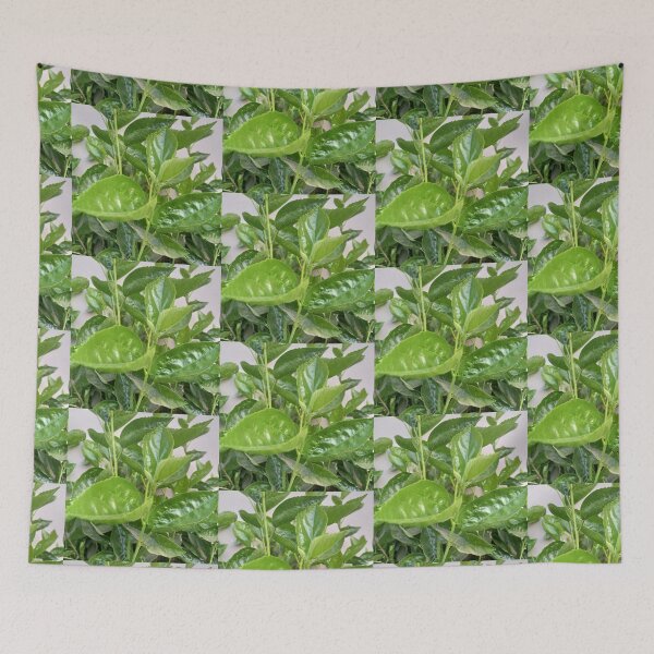 Item preview, Hibiscus leaves designed and sold by MusondaNancy.