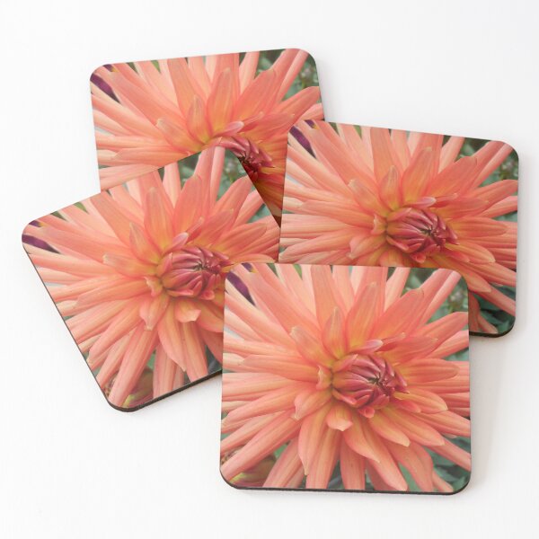 Item preview, Spikey orange cactus dahlia flower designed and sold by Floral-Art.