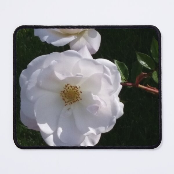 Item preview, dos flores blancas designed and sold by Pijnk.