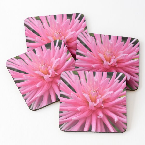 Item preview, Pink flowered cactus Dahlia flower designed and sold by Floral-Art.