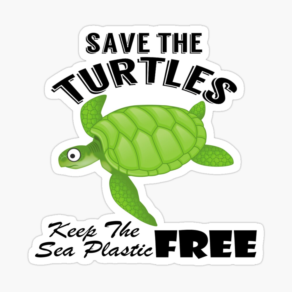 Pura Vida  Gold Save the Sea Turtles Charm Bracelet  Bee Hive Gift Shop WB