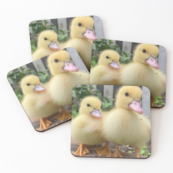 Item preview, Duke Duke Goose  designed and sold by WDC-Art.