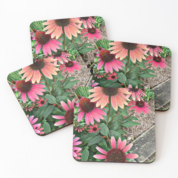 Item preview, "purple coneflower echinacea purpurea" designed and sold by Shubatdesigns.