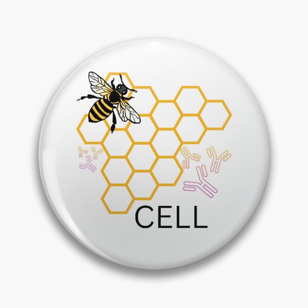 Item preview, B-lymphocyte (B-cell) designed and sold by BioFunics.