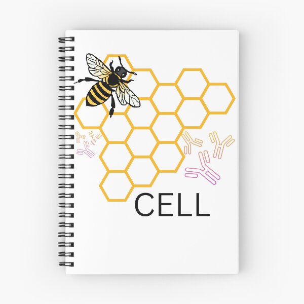 Item preview, B-lymphocyte (B-cell) designed and sold by BioFunics.