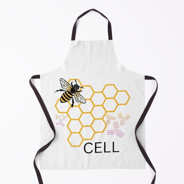 Item preview, B-lymphocyte (B-cell) designed and sold by BioFunics.