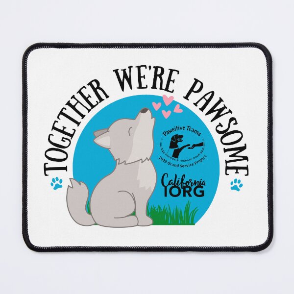 Item preview, 2023 Grand Service Project designed and sold by CAIORG.