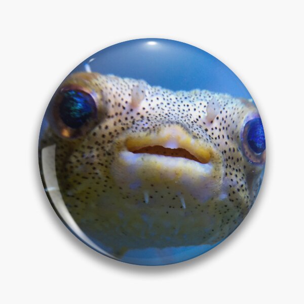 Item preview, Porcupine Puffer designed and sold by buzzmarshall.