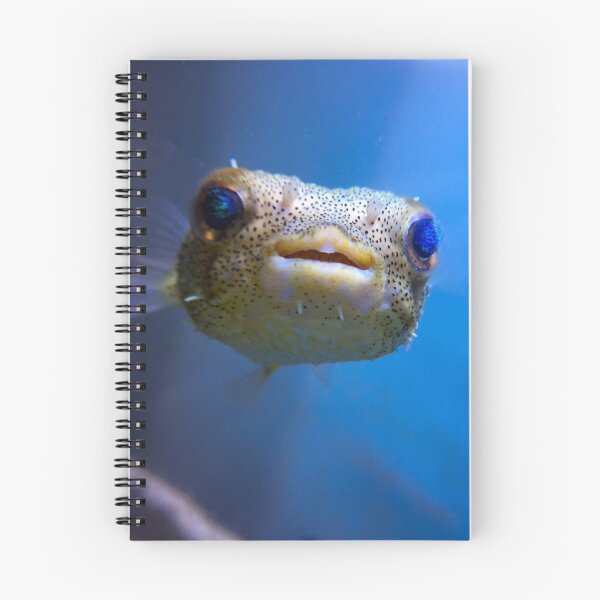 Item preview, Porcupine Puffer designed and sold by buzzmarshall.