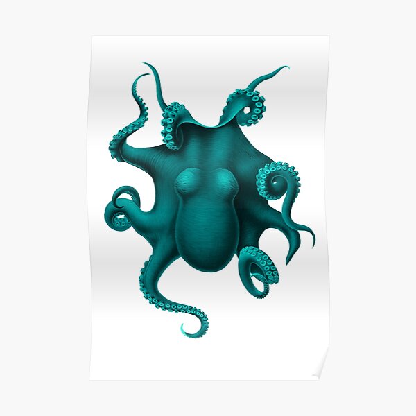 Oktopus Drawing Poster For Sale By Smartnsl Redbubble