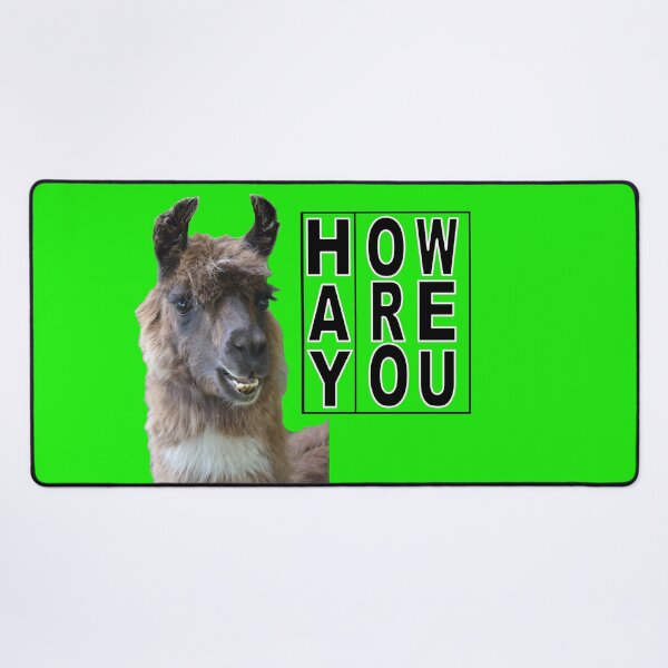 Item preview, Hay How Are You Llama with Black Letters designed and sold by AliCatOriginals.