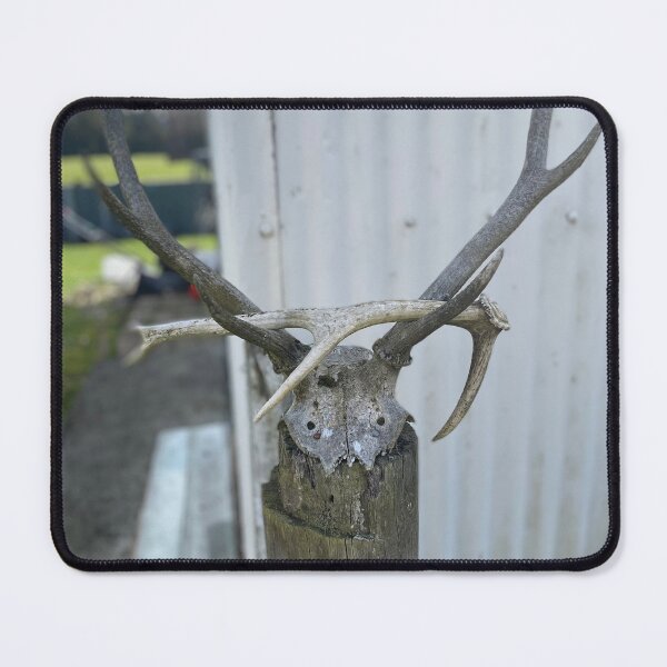 Item preview, Deer skull designed and sold by Beautyqueens Beautys.