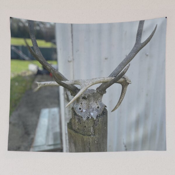 Item preview, Deer skull designed and sold by Beautyqueens Beautys.