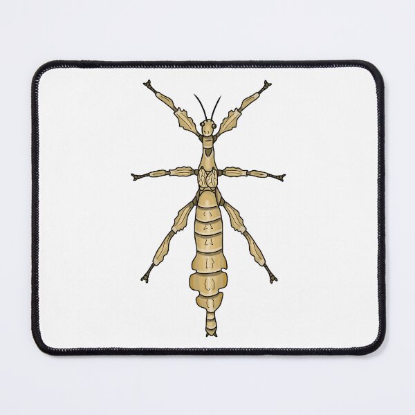 Item preview, female Extatosoma tiaratum designed and sold by Artbychb.