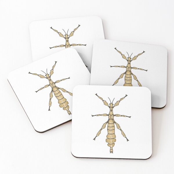 Item preview, female Extatosoma tiaratum designed and sold by Artbychb.