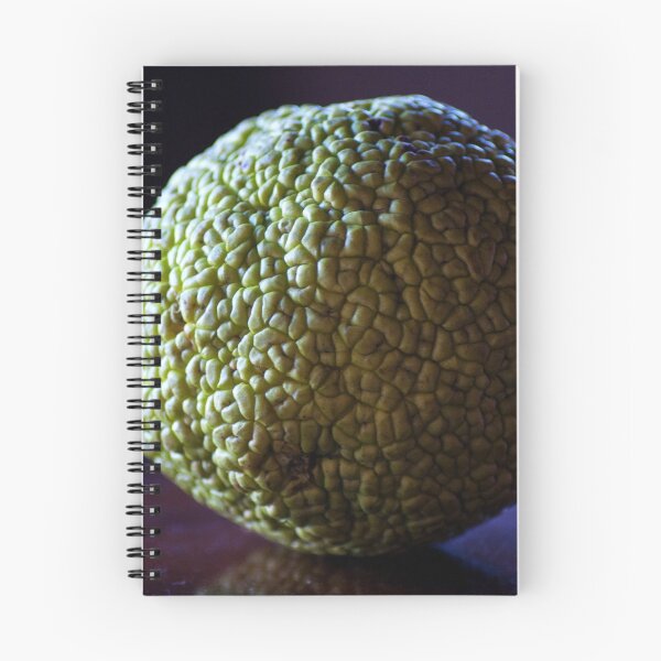 Item preview, Hedge Apple, Maclura pomifera. designed and sold by Billlee.