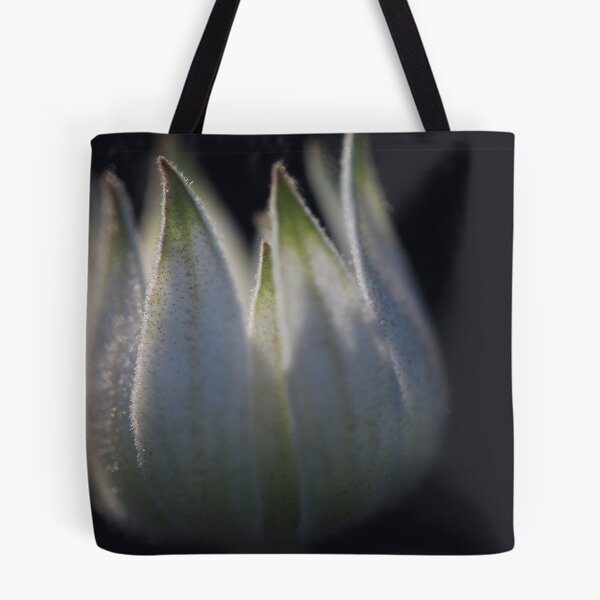 Item preview, Flannel Flower designed and sold by Narelle Richardson.