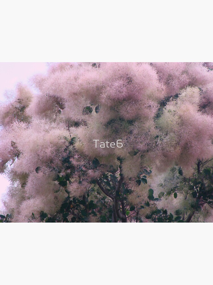 Pink Velvet by Tate6