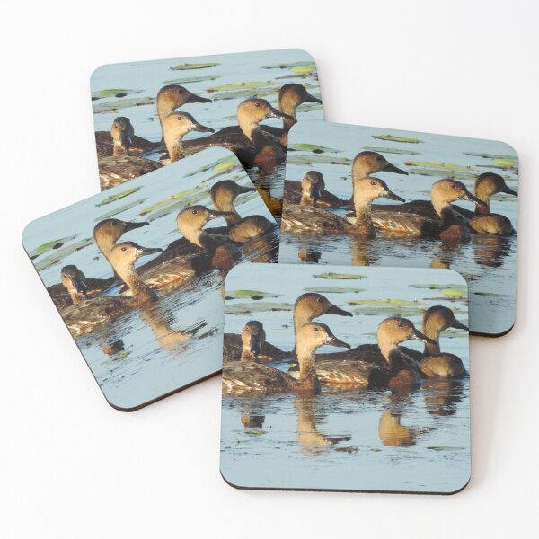 Item preview, Patos silbadores errantes (Dendrocygna arcuata) designed and sold by Marilyn Harris.