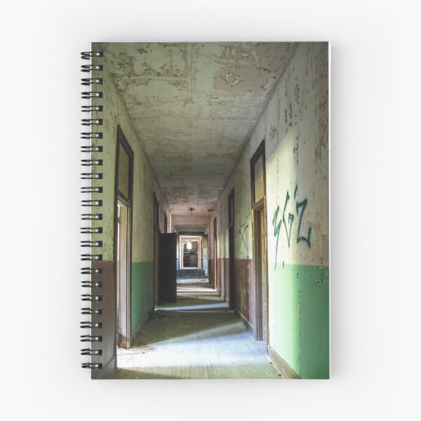 Item preview, Down The Hall  designed and sold by Paul Lubaczewski.