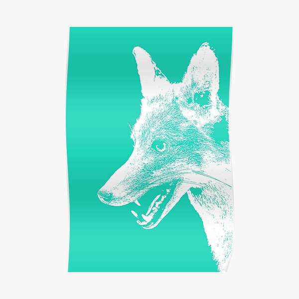 Follow the Fox (No Text) Poster